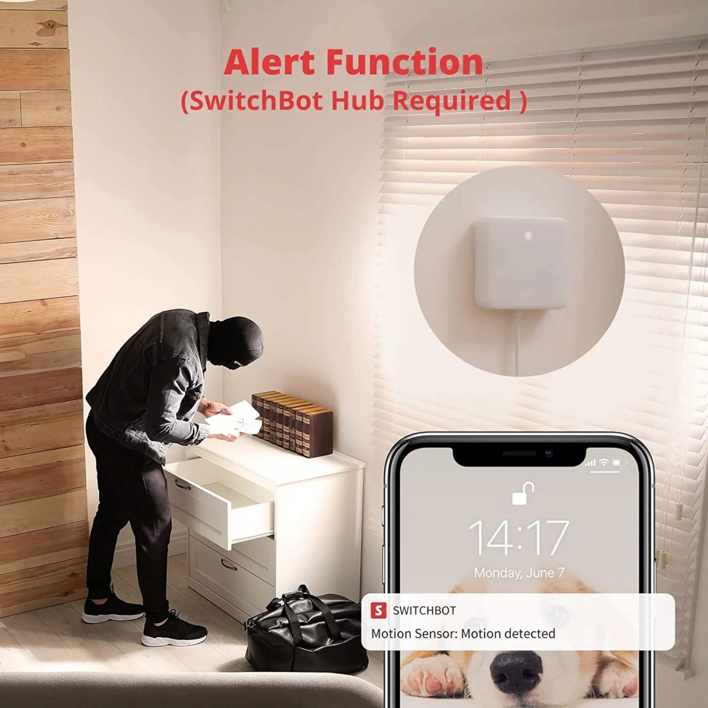 Compatible with SwitchBot ecosystem and Alexa for smart home automation from xStore in Qatar