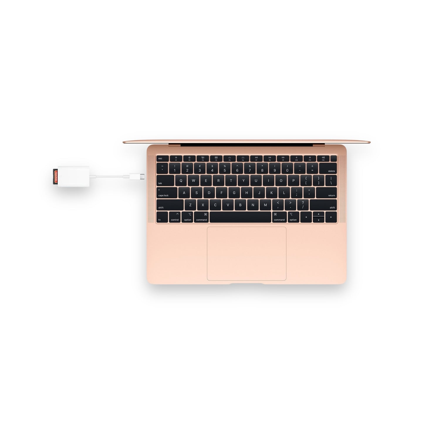 Get Apple USB-C to SD Card Reader from xStore in Qatar, Compatible with USB-C Mac, iPad, and iPhone،