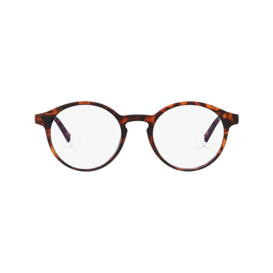 Barner Le Marais blue light blocking glasses, unisex design for eye protection from Screens, available at xStore.qa in Qatar.